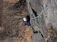IMG_2234