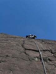 IMG_2241