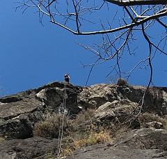 IMG_2244