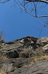 IMG_2247