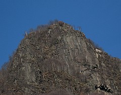 IMG_2249