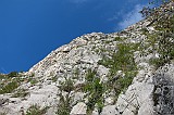 IMG_0292