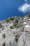 IMG_0296