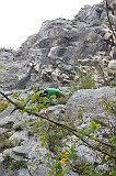 IMG_0320