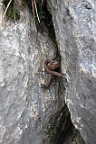 IMG_0327
