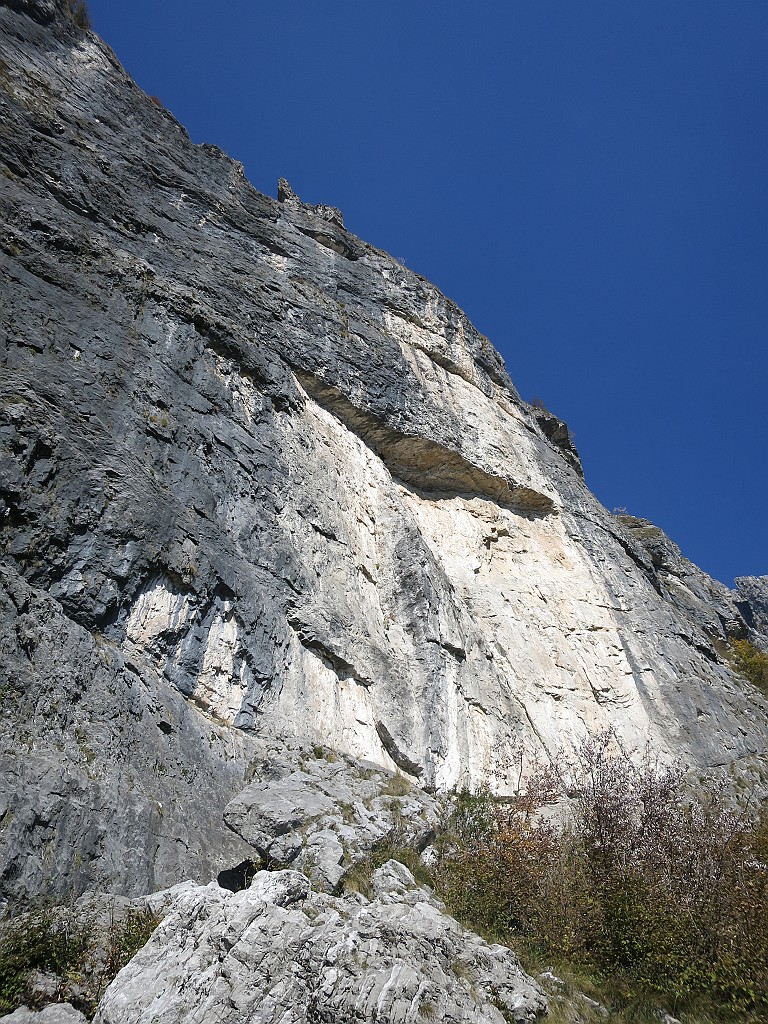 IMG_7884.JPG