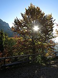 IMG_7831