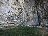 IMG_7835