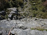 IMG_7838