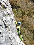 IMG_7858