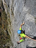 IMG_7868