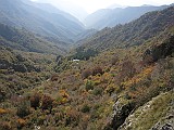 IMG_7879