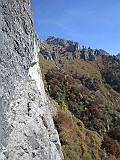 IMG_7881