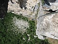 IMG_2500