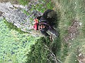 IMG_2511