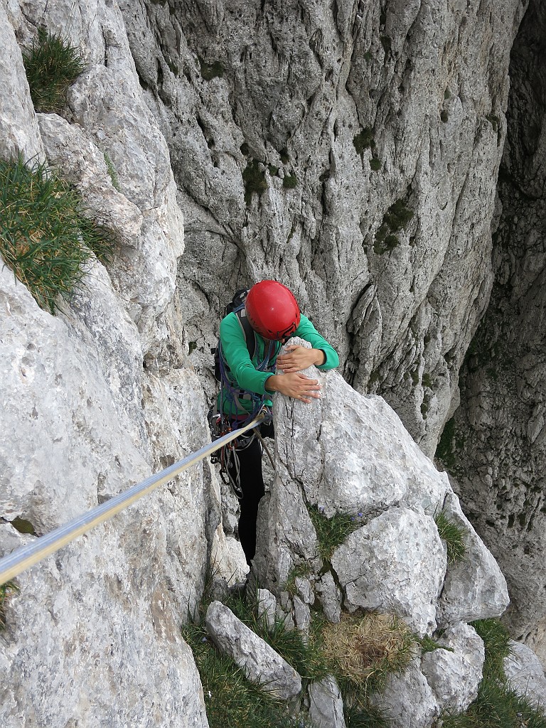 IMG_1545.JPG
