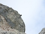 IMG_1563