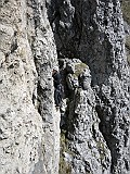 IMG_0215