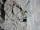 IMG_0237