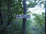 IMG_2123