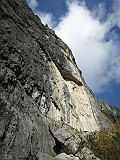 IMG_2153