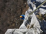 IMG_8157