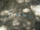 DSCN8023