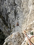 IMG_8015