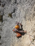 IMG_8018