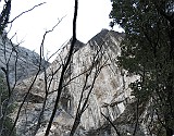IMG_8041