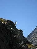 IMG_1822