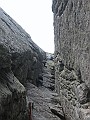 IMG_3223