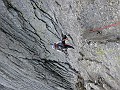 IMG_3224
