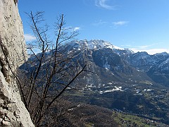 IMG_2202