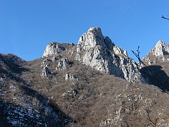 IMG_2203