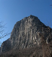 IMG_2210