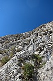 IMG_0893