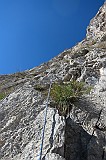 IMG_0896