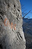 IMG_0903