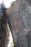 IMG_0904