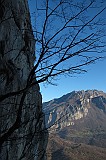 IMG_0909