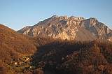 IMG_0919