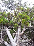 20140914_140325