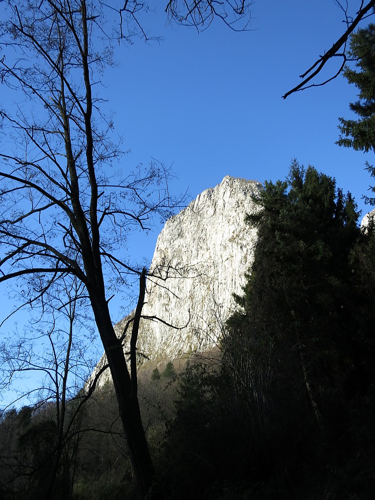 IMG_8047.JPG