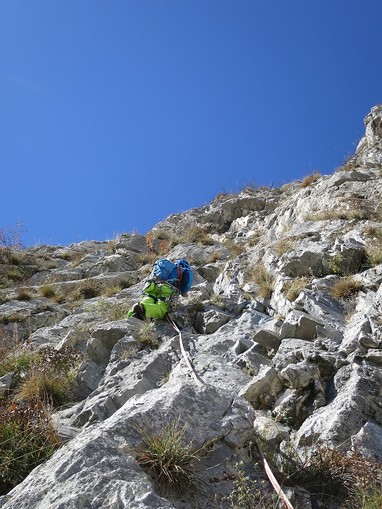 IMG_8056.JPG
