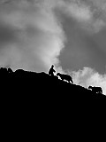 IMG_5888