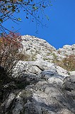 IMG_0655