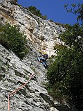 IMG_6250