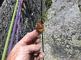 IMG_0401