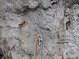 IMG_3357